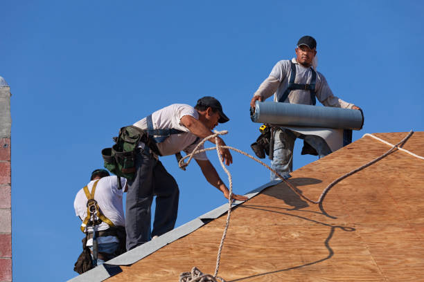 Best Roof Leak Repair  in North Apollo, PA