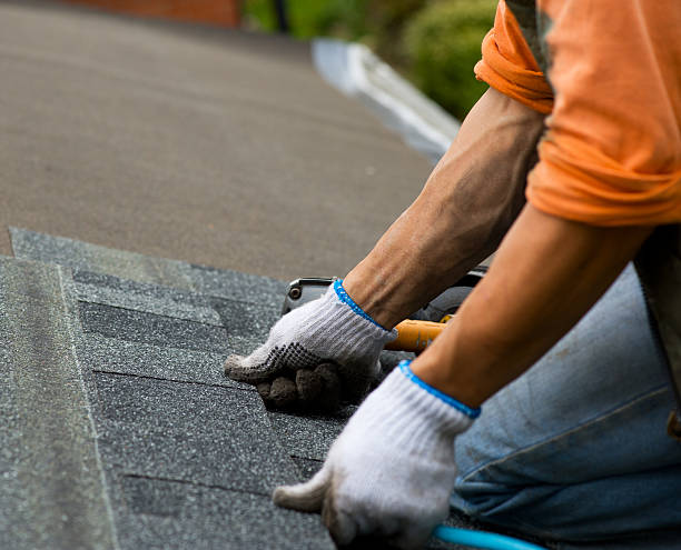 Best Local Roofing Companies  in North Apollo, PA
